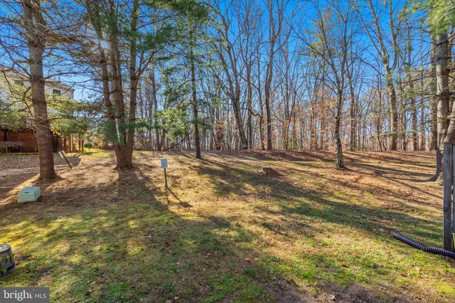 a view of outdoor space with trees