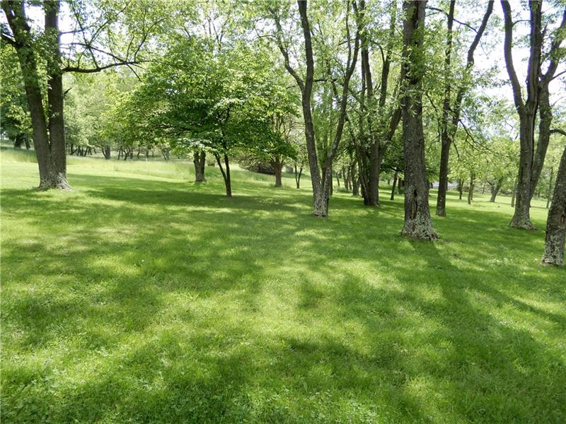 3151 Robinson Run Road McDonald, PA 15057 - Photo 24 of 25 Rear Yard 3151 Robinson Run Rd
