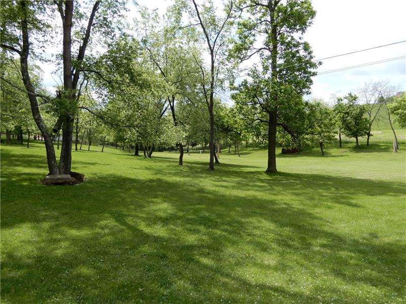 3151 Robinson Run Road McDonald, PA 15057 - Photo 25 of 25 Rear Yard 3151 Robinson Run Rd