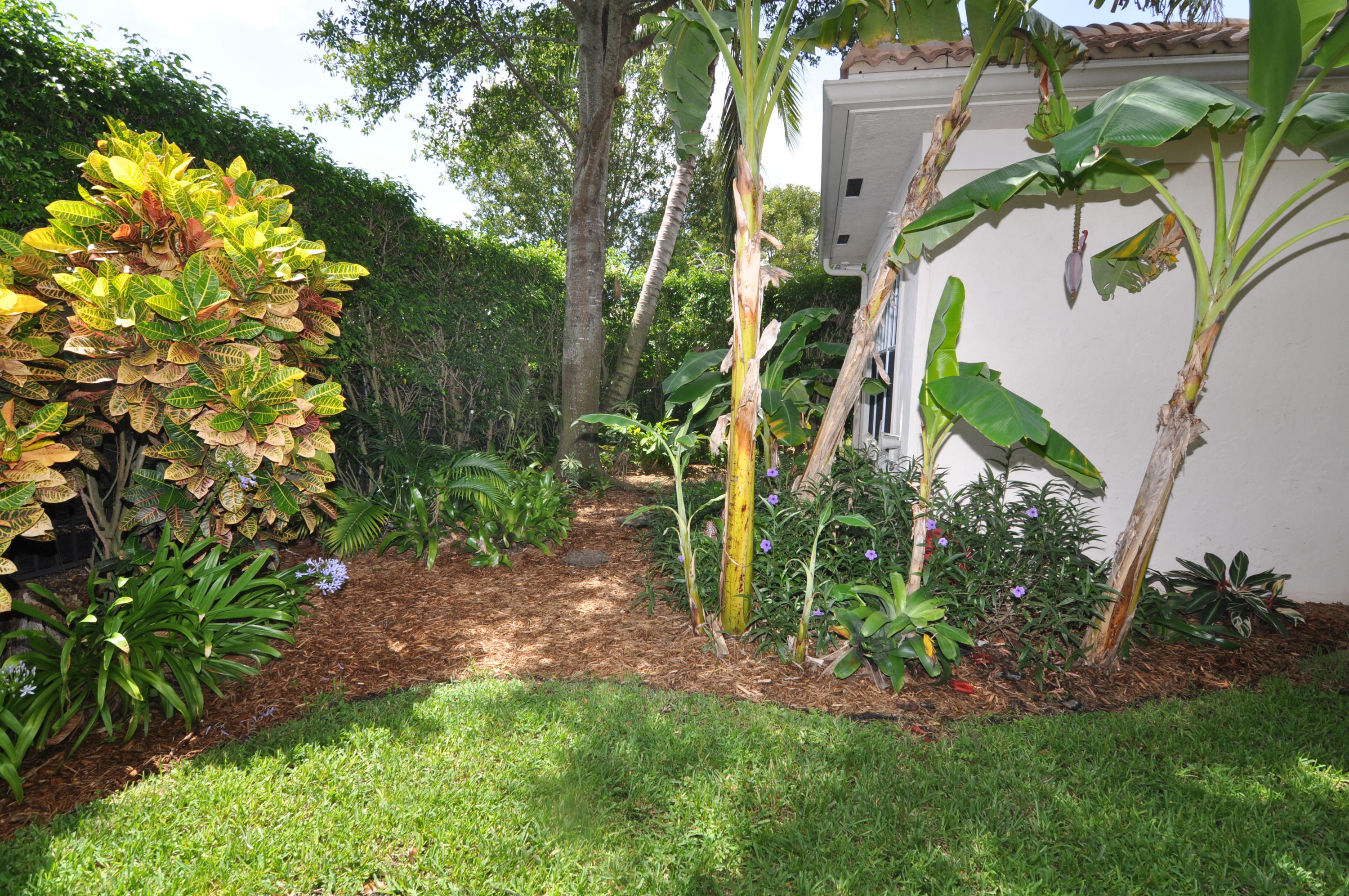 191 Via Veracruz Jupiter, FL 33458 - Photo 23 of 25 BACK AREA
