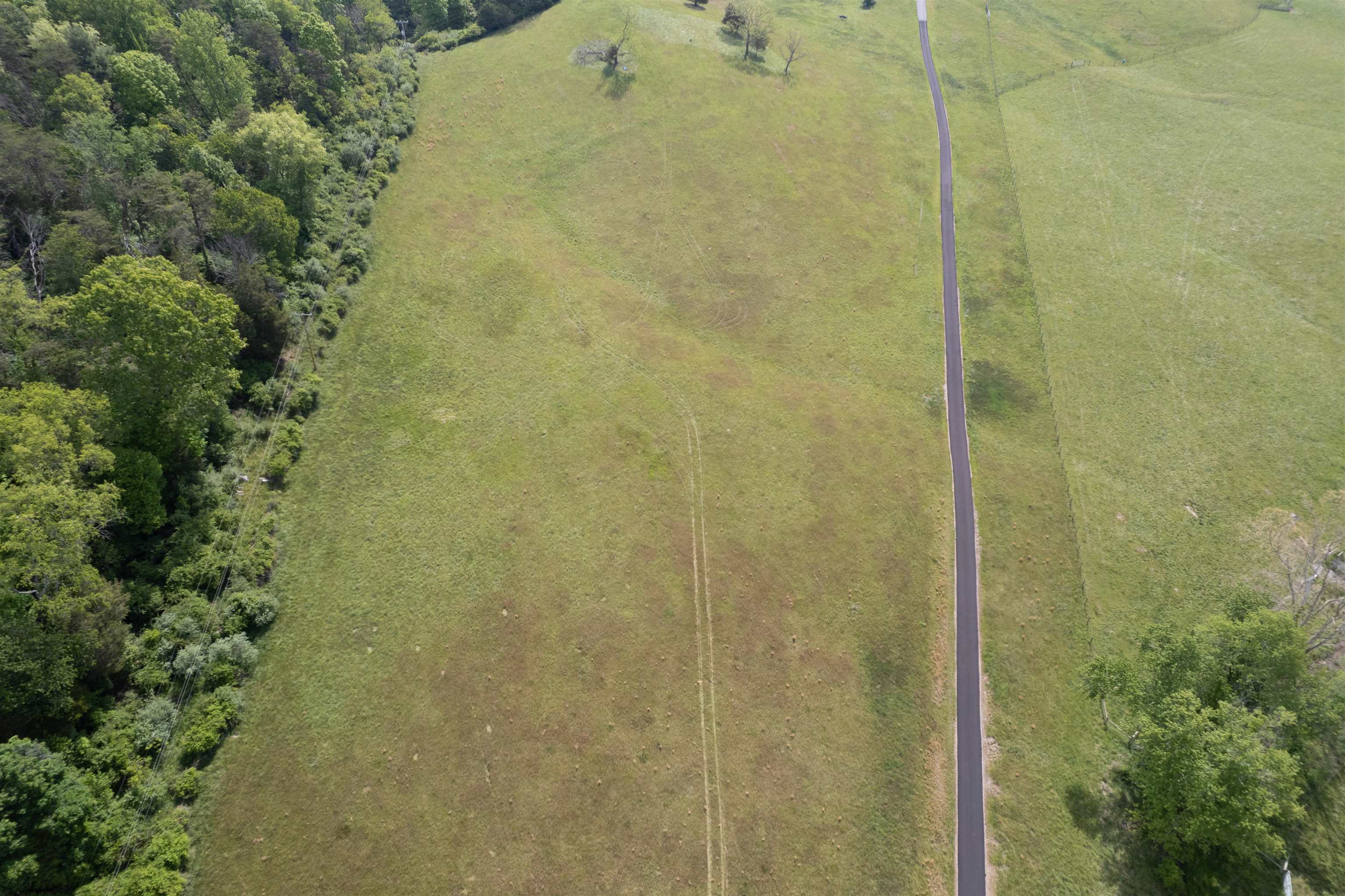 Tbd Tbd Reed Creek Road Wytheville, VA 24382 - Photo 9 of 22 Gallery Image 9