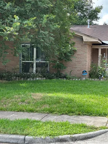 a view of a backyard with plants and large tree