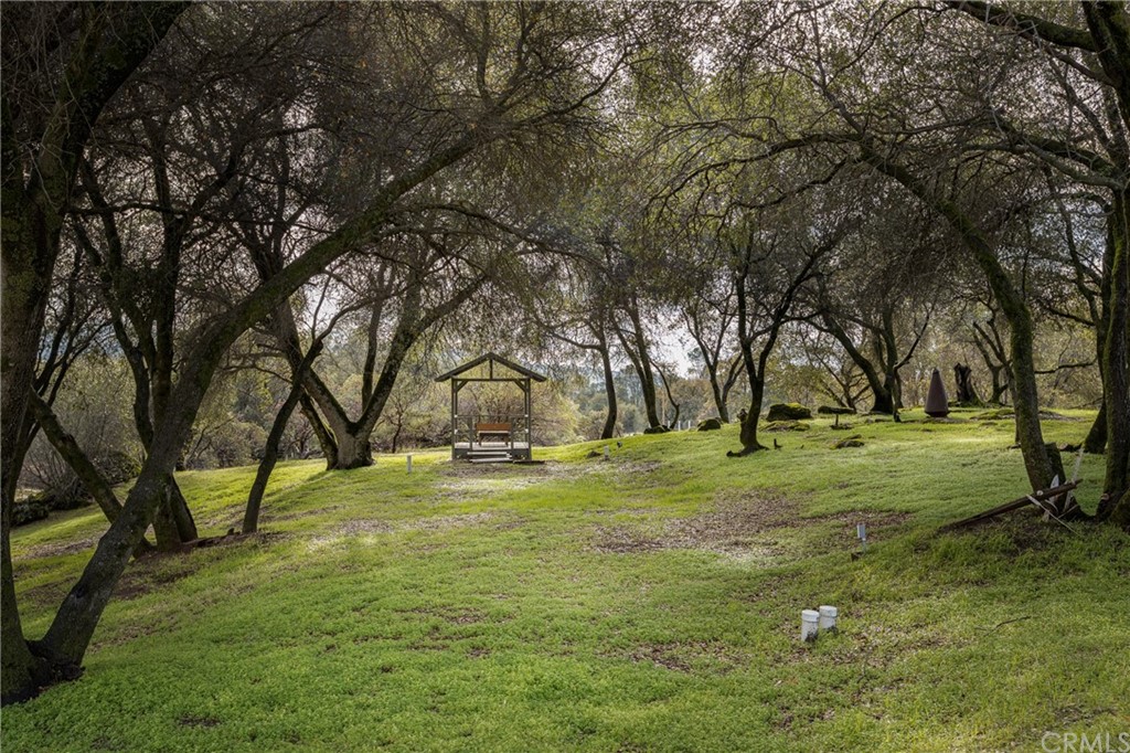 45943 Black Oak Road Coarsegold, CA 93614 - Photo 55 of 64