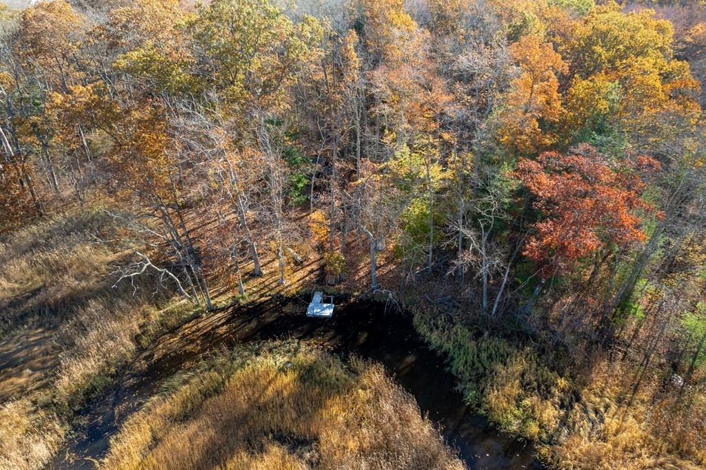 24 Paradise Road Ipswich, MA 01938 - Photo 14 of 27 a view of a forest
