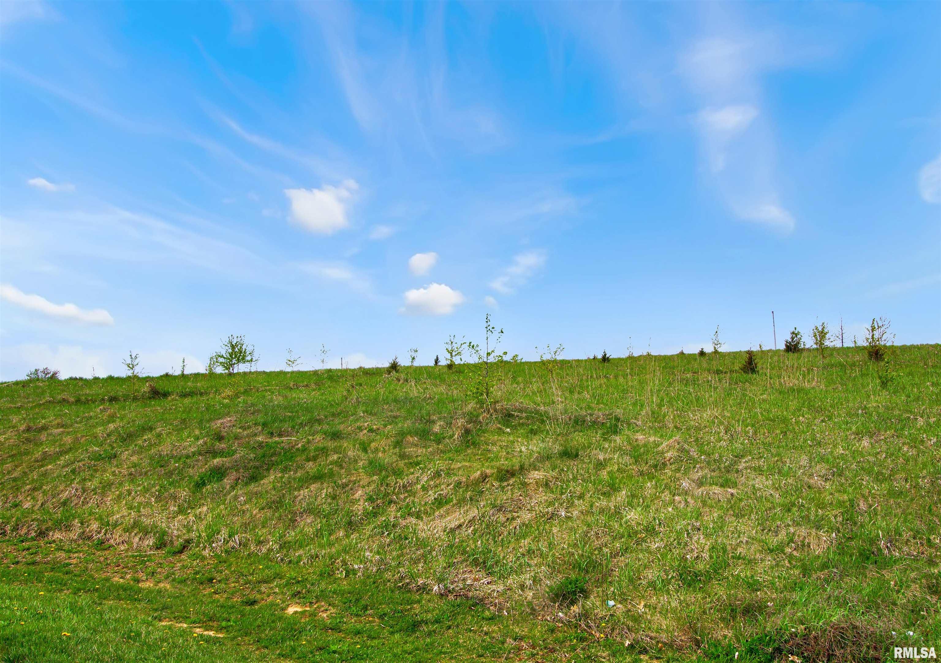 9 North Stevens Court Princeville, IL 61559 - Photo 2 of 5