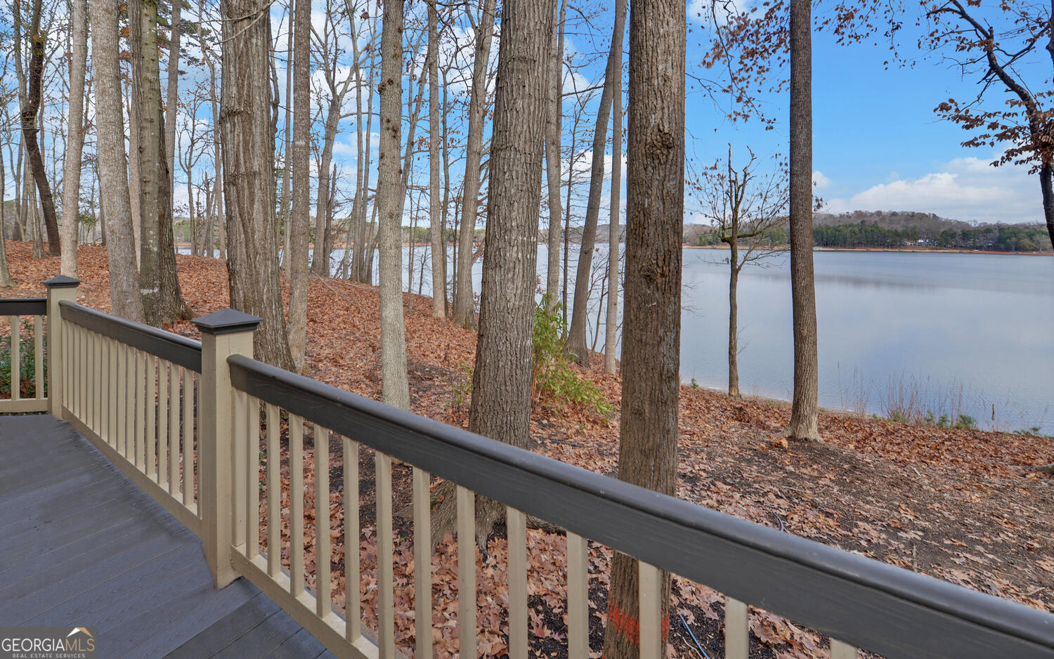 114 Blue Ridge Place Lavonia, GA 30553 - Photo 54 of 85