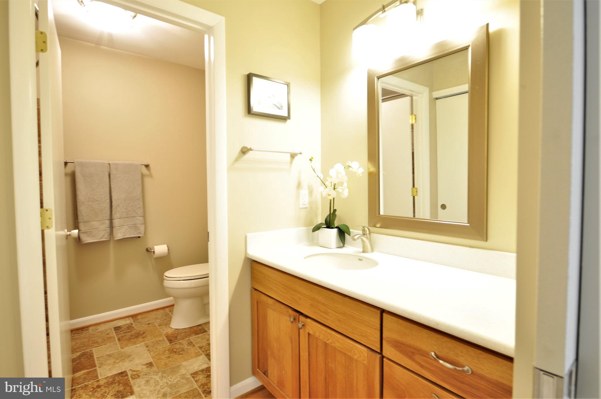 2009 Approach Lane Reston, VA 20191 - Photo 15 of 17 Bath