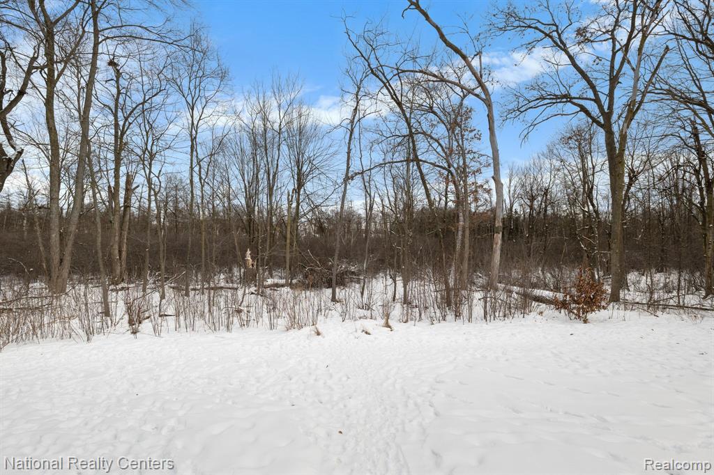 240 Pine Tree Ridge, Unit 2 Waterford, MI 48327 - Photo 5 of 30