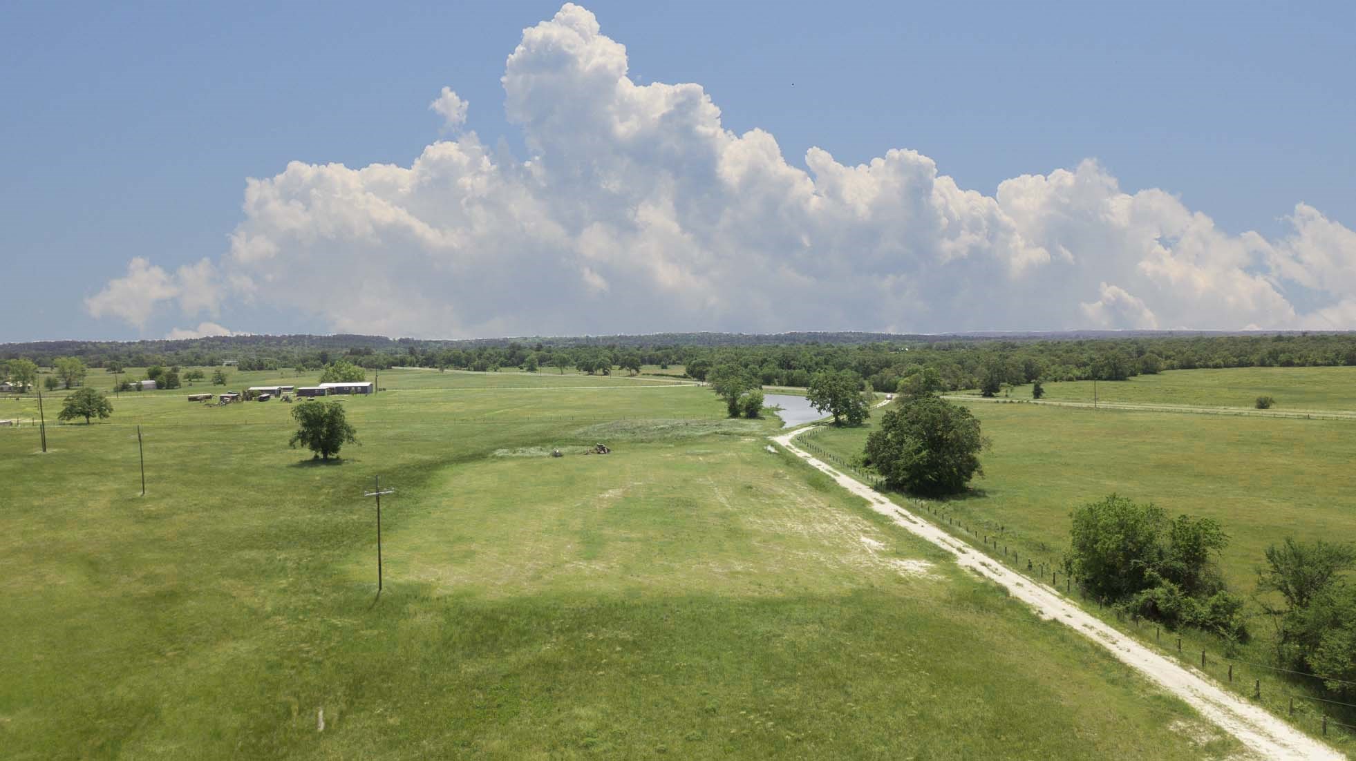 15130 Fm 39 Road Bedias, TX 77831 - Photo 8 of 26