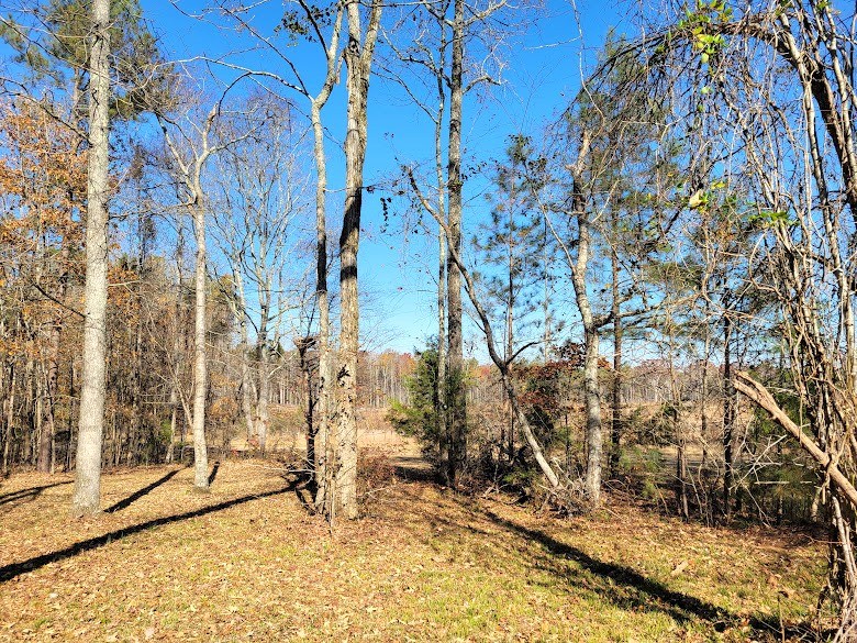 309 Chipley Road Greenwood, SC 29646 - Photo 50 of 50