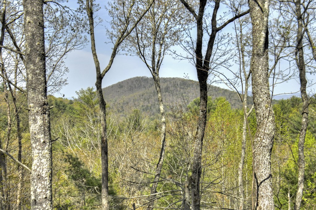 302 Indian Ridge Road Epworth, GA 30541 - Photo 50 of 76 Gallery Image 50