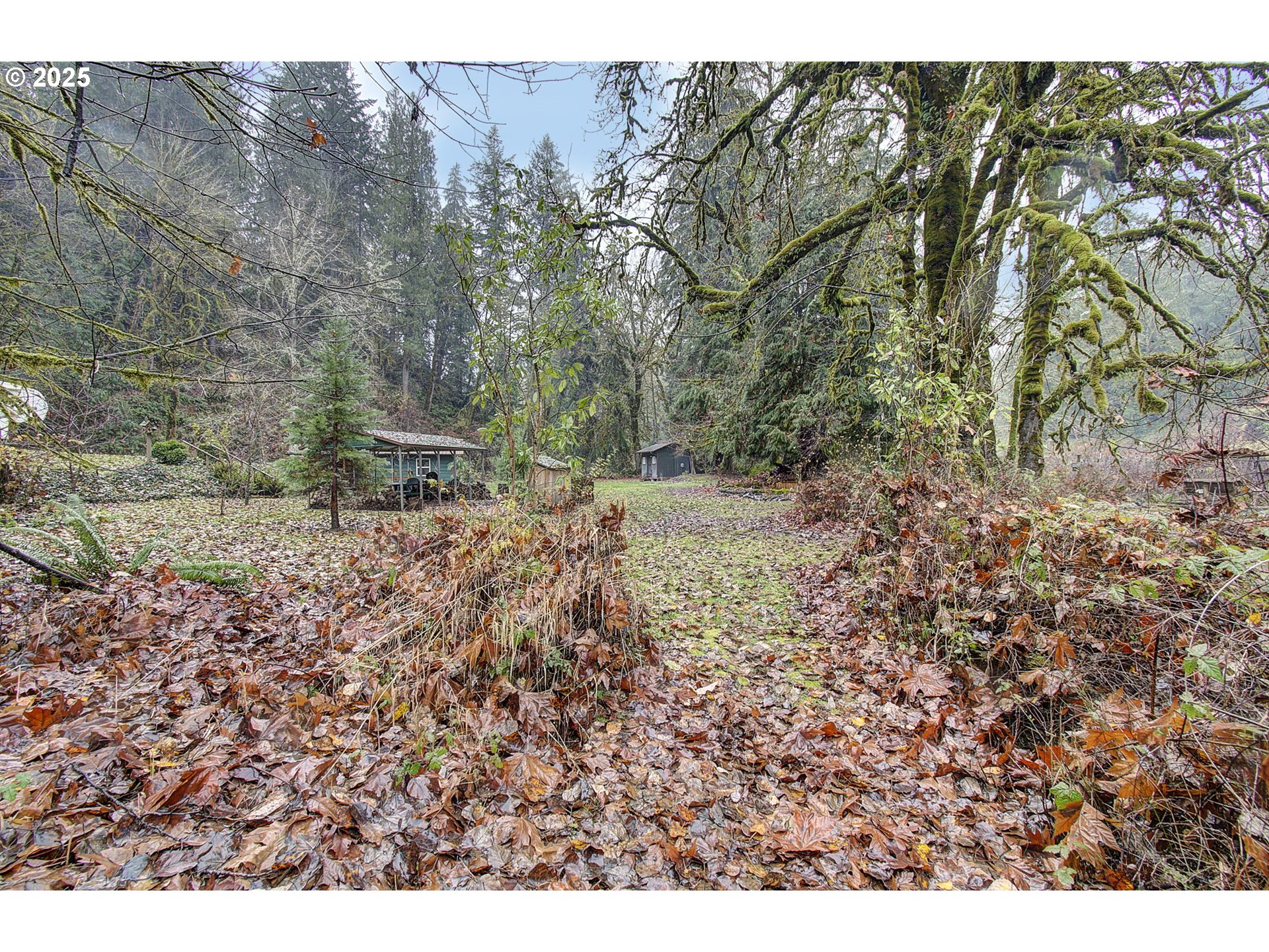 373 Fallert Road Kalama, WA 98625 - Photo 17 of 22 Gallery Image 17
