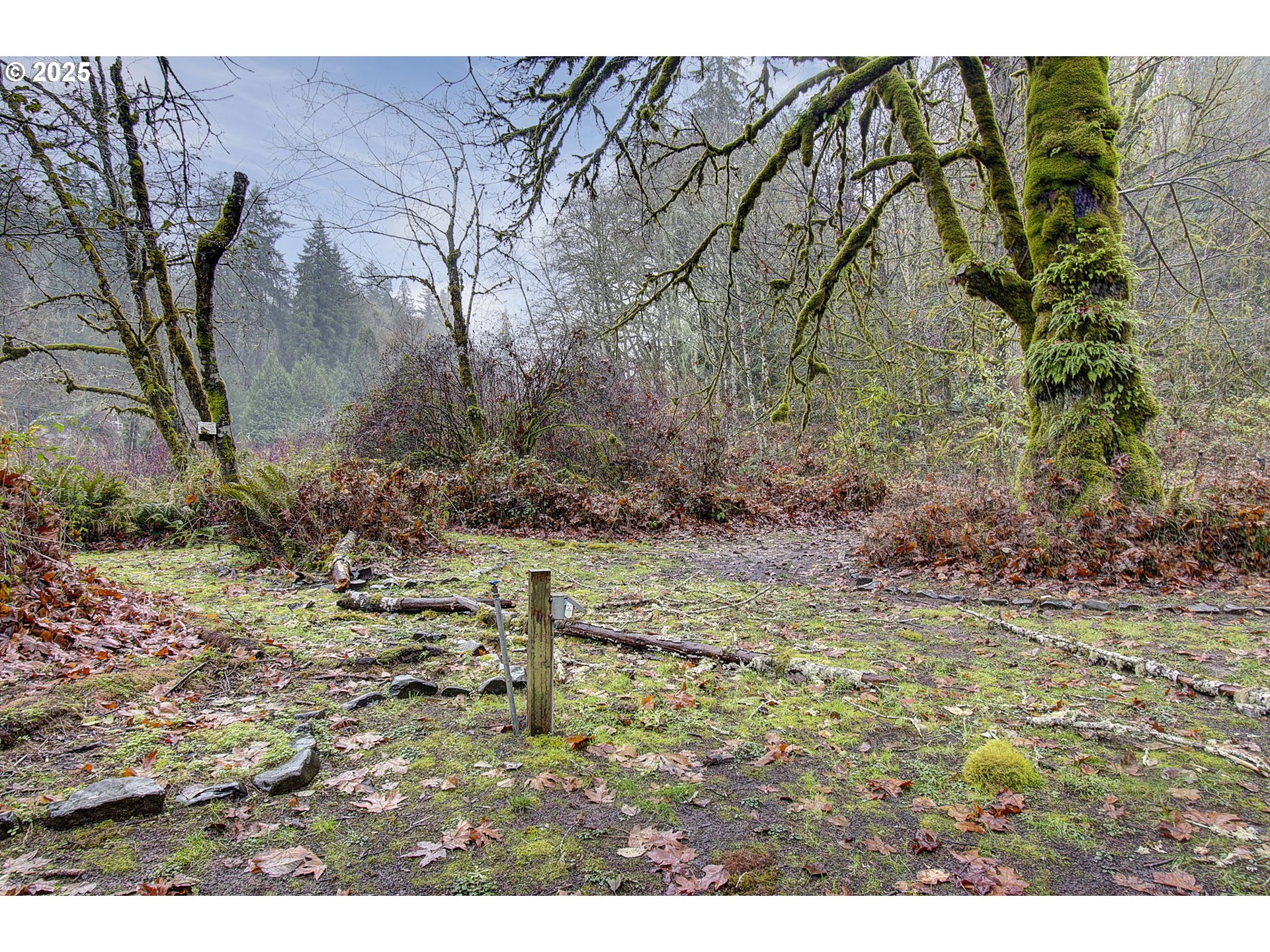 373 Fallert Road Kalama, WA 98625 - Photo 20 of 22 Gallery Image 20