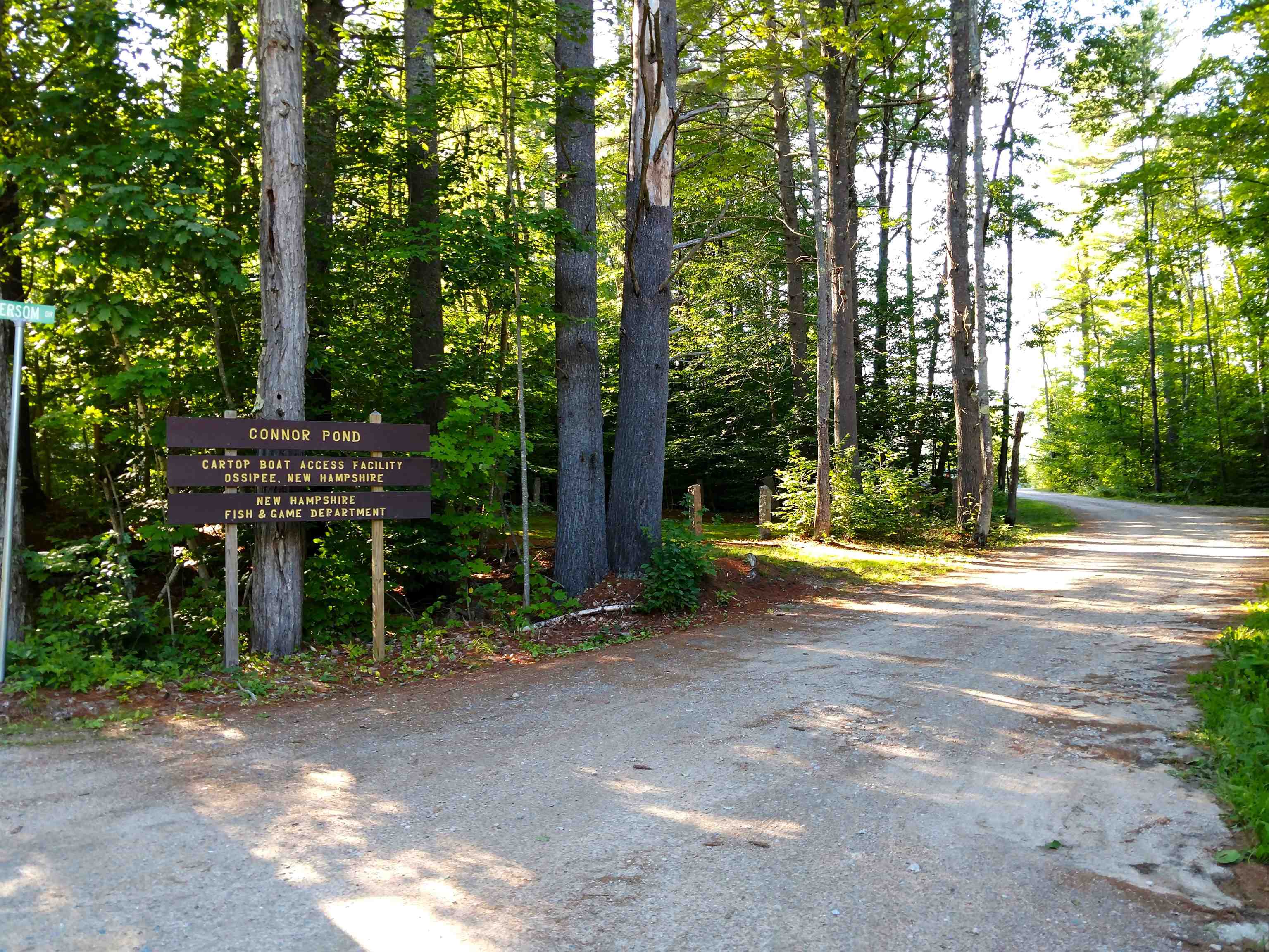200 Ossipee Mountain Road Ossipee, NH 03814 - Photo 28 of 37