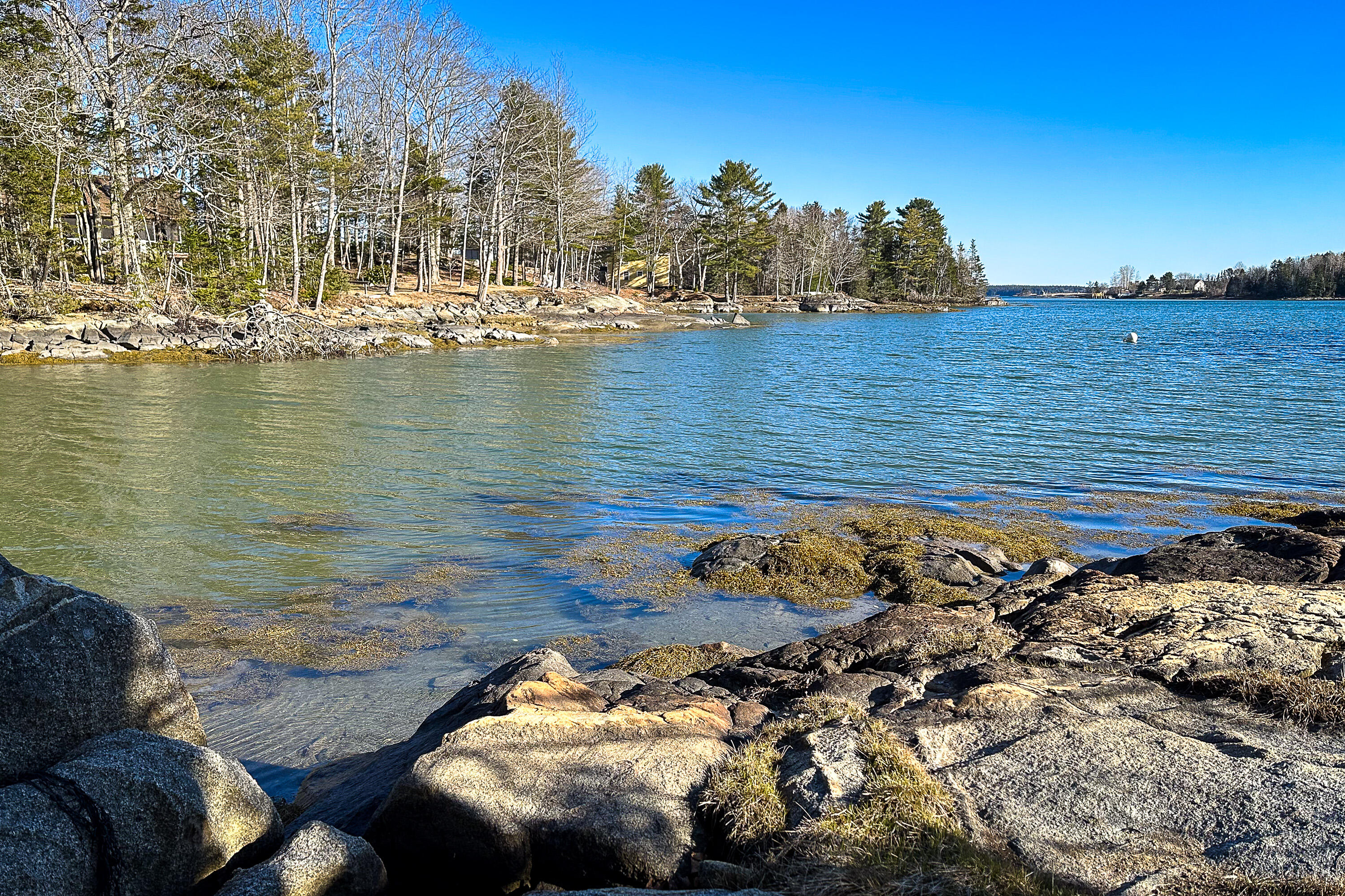 601 Pleasant Point Road Cushing, ME 04563 - Photo 24 of 24 08_08_601PleasantPoint_21_Trail_S_print