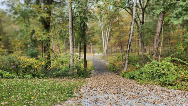 a view of outdoor space and trees