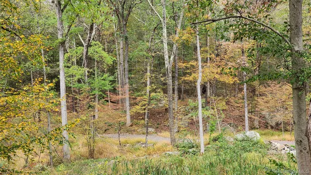 a view of a pathway both side of yard