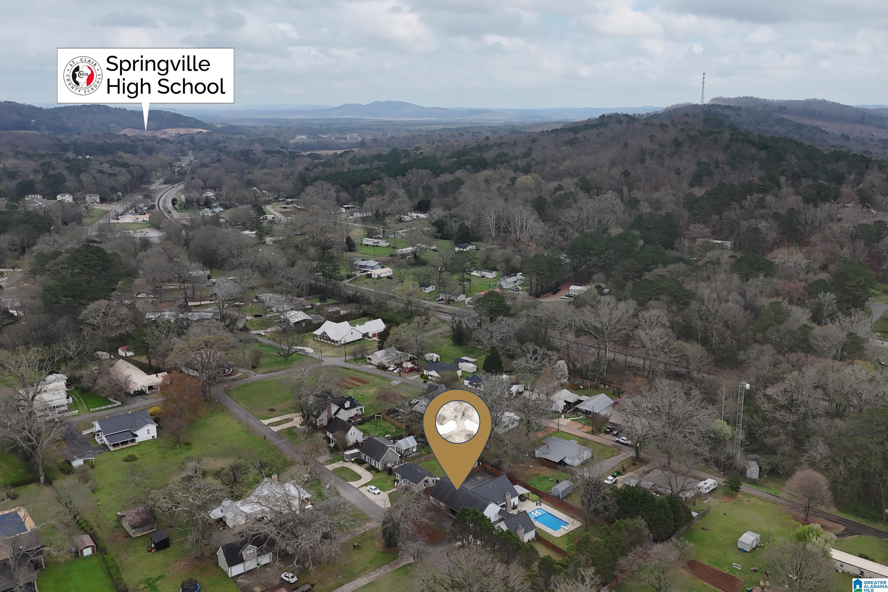 210 Forman Street Springville, AL 35146 - Photo 63 of 66