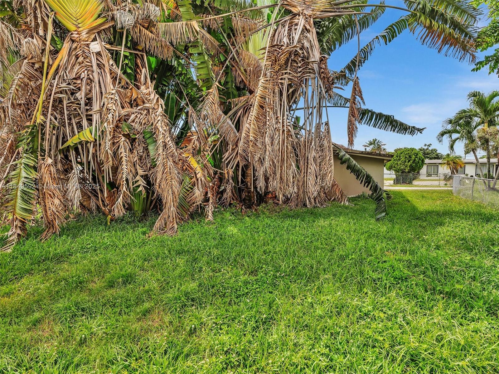 5611 Southwest 37th Street, Unit 1 Davie, FL 33314 - Photo 38 of 46 a view of backyard with palm trees
