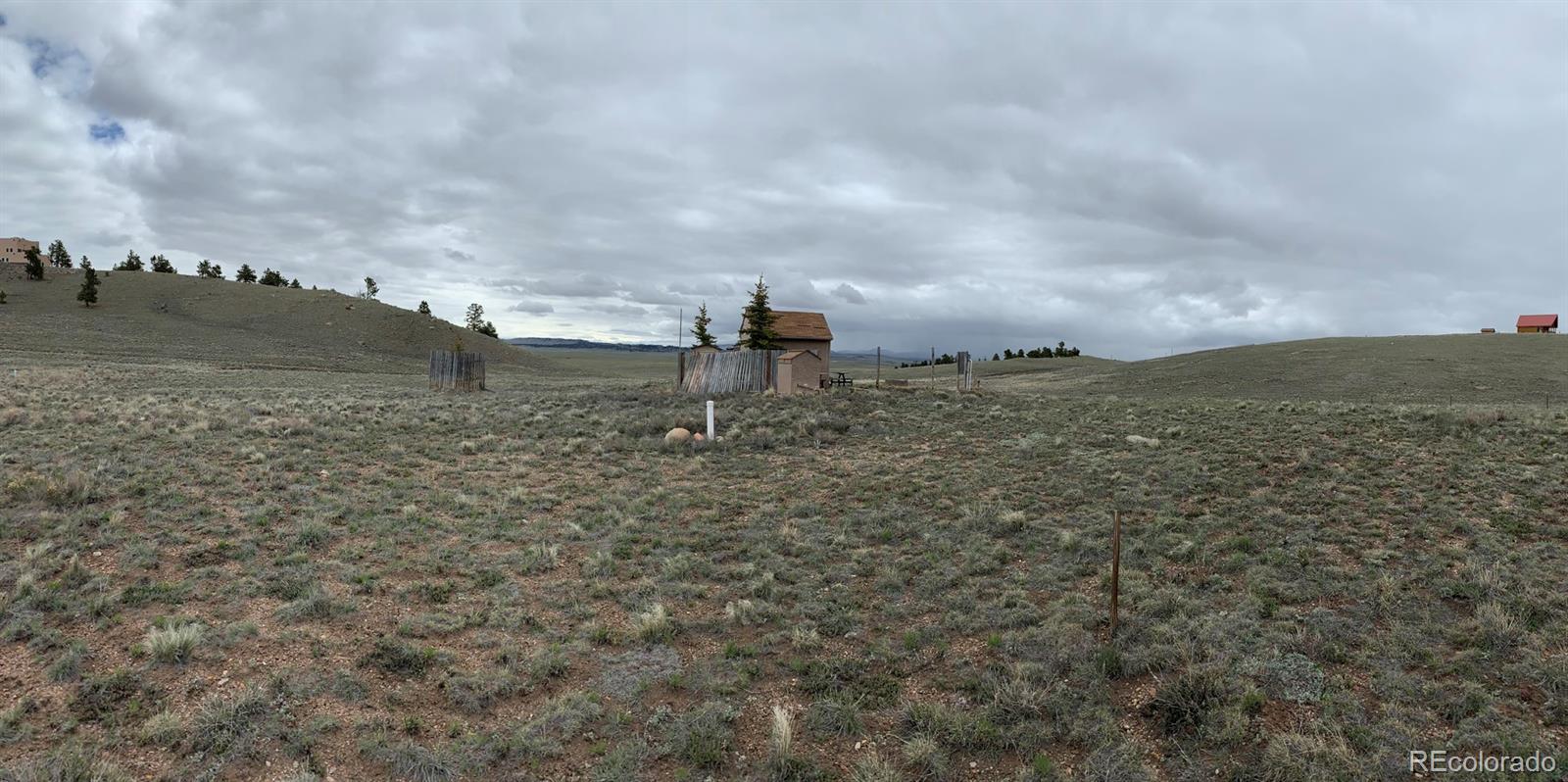 5739 Ranch Road Hartsel, CO 80449 - Photo 9 of 21 a view of a dry yard with trees