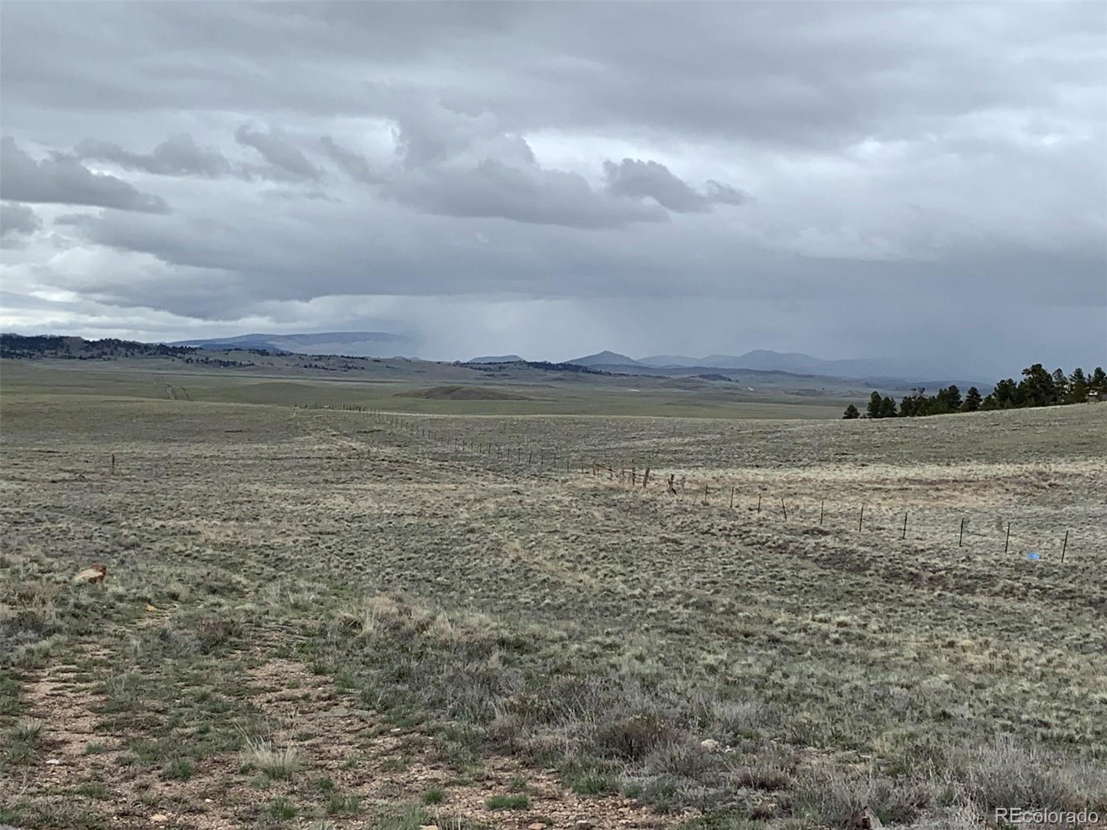 5739 Ranch Road Hartsel, CO 80449 - Photo 10 of 21 a view of an ocean