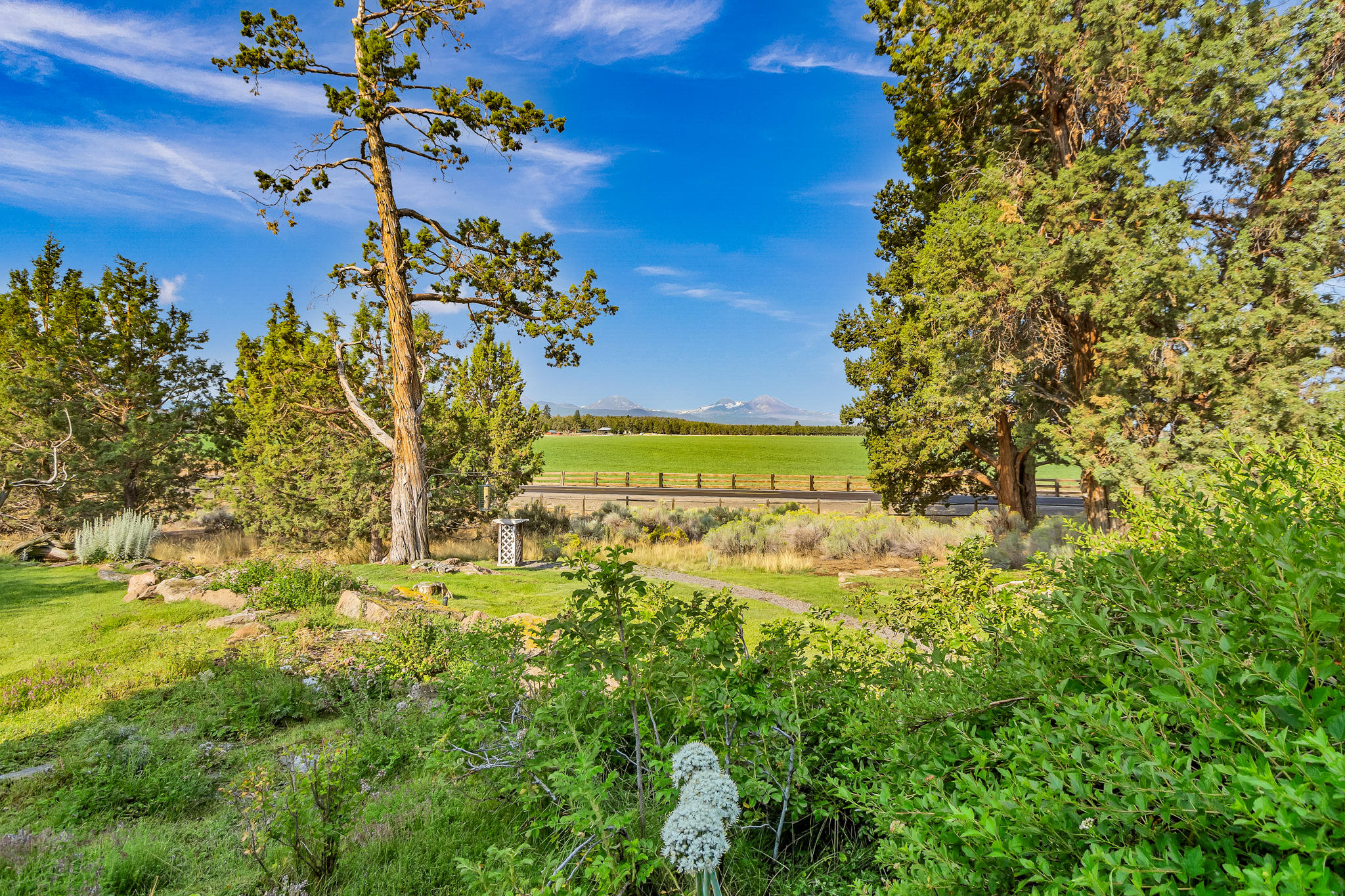 65764 Tweed Road Bend, OR 97703 - Photo 50 of 54 DSC09063