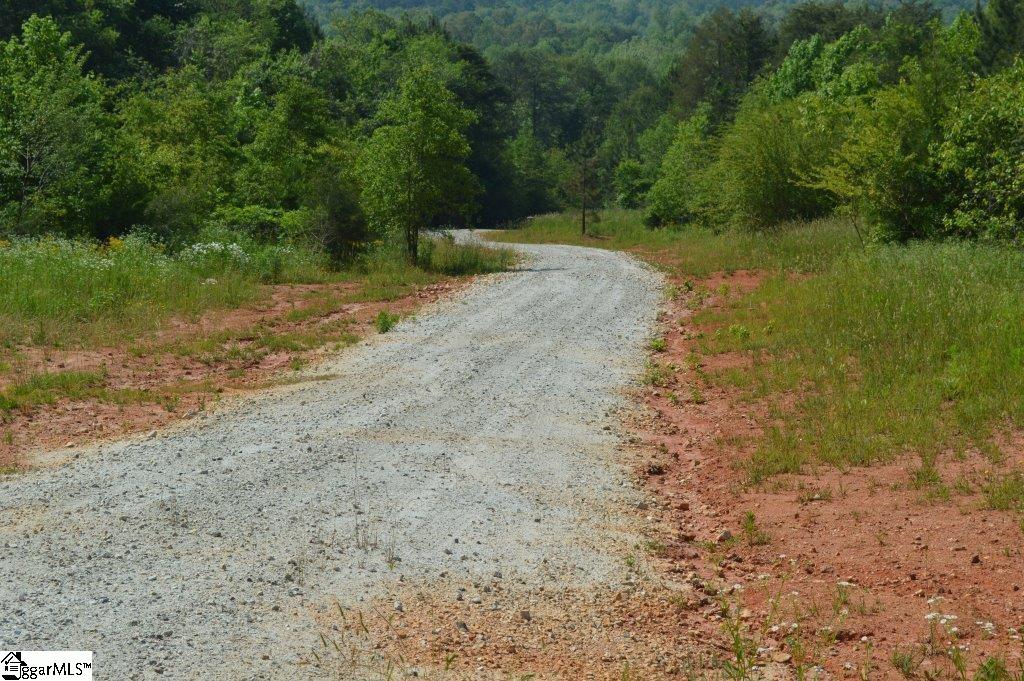 Winchester Mill Road Pickens, SC 29671 - Photo 2 of 26