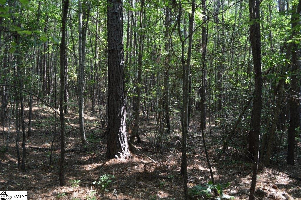 Winchester Mill Road Pickens, SC 29671 - Photo 11 of 26