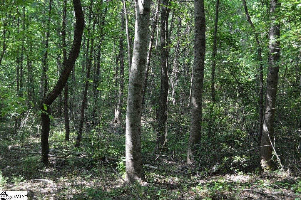 Winchester Mill Road Pickens, SC 29671 - Photo 12 of 26