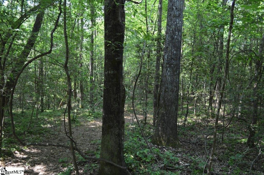 Winchester Mill Road Pickens, SC 29671 - Photo 14 of 26