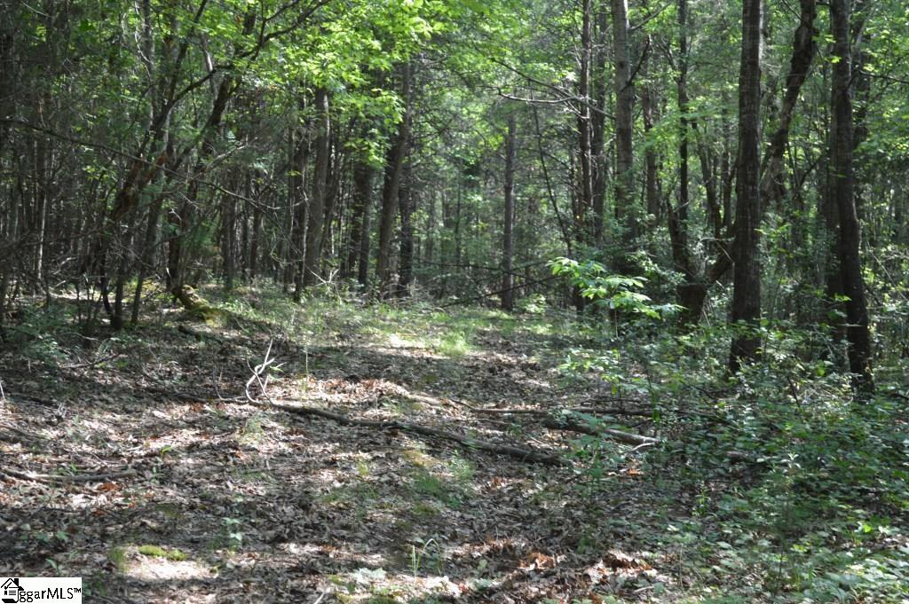 Winchester Mill Road Pickens, SC 29671 - Photo 15 of 26