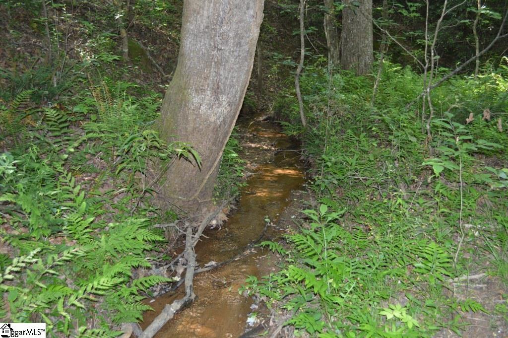 Winchester Mill Road Pickens, SC 29671 - Photo 16 of 26