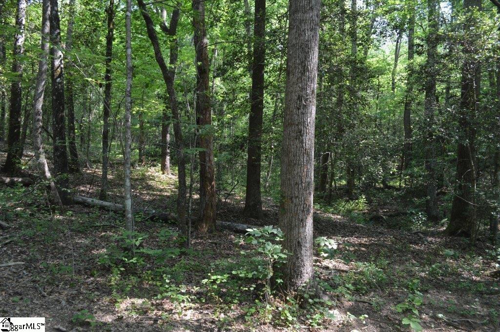 Winchester Mill Road Pickens, SC 29671 - Photo 17 of 26