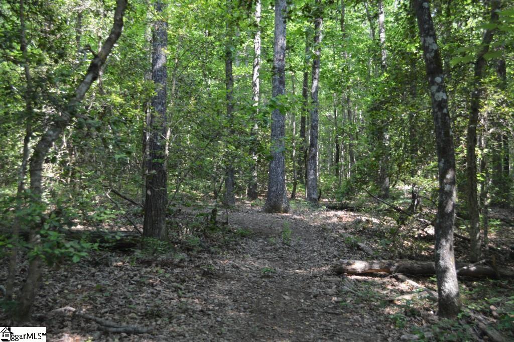 Winchester Mill Road Pickens, SC 29671 - Photo 18 of 26