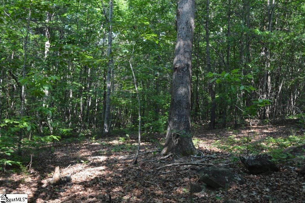 Winchester Mill Road Pickens, SC 29671 - Photo 3 of 26