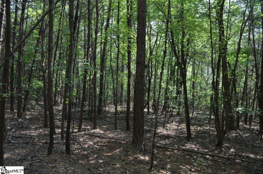 Winchester Mill Road Pickens, SC 29671 - Photo 4 of 26