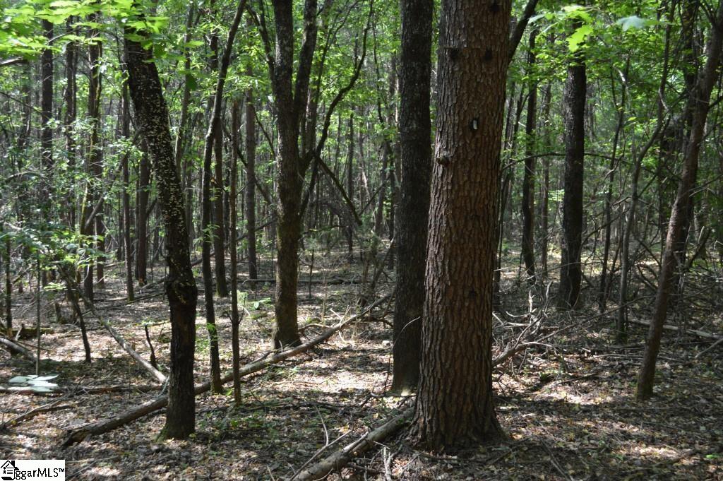 Winchester Mill Road Pickens, SC 29671 - Photo 5 of 26