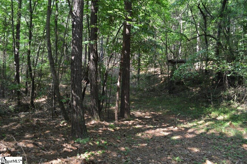 Winchester Mill Road Pickens, SC 29671 - Photo 6 of 26