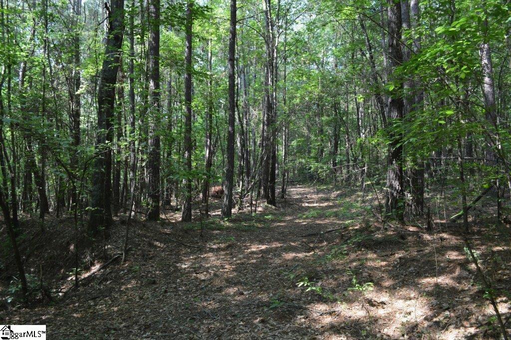 Winchester Mill Road Pickens, SC 29671 - Photo 7 of 26
