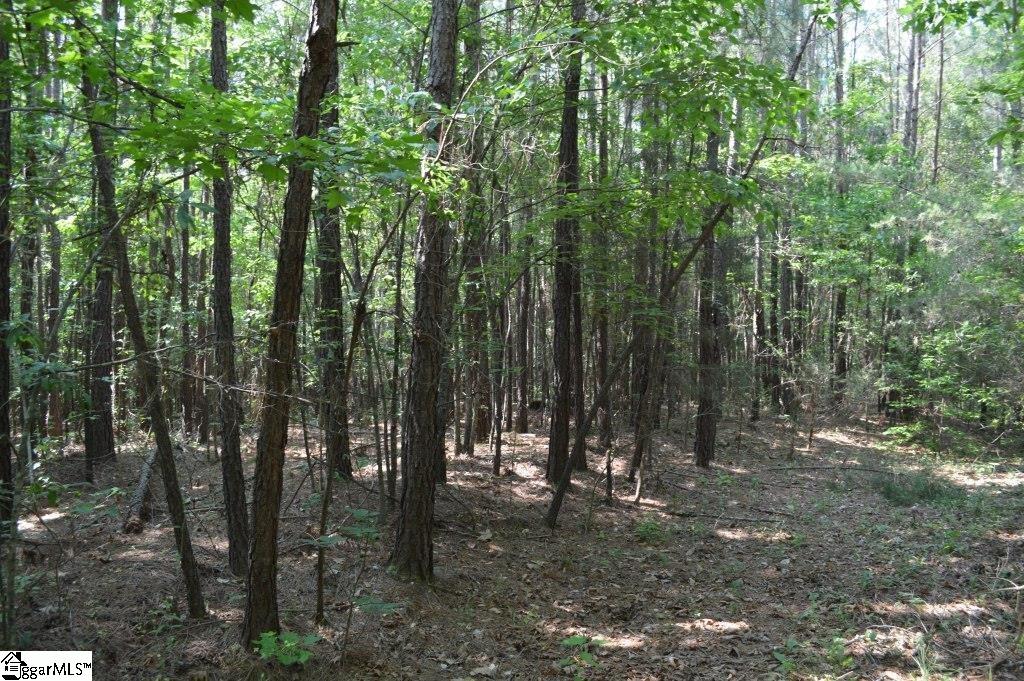 Winchester Mill Road Pickens, SC 29671 - Photo 10 of 26
