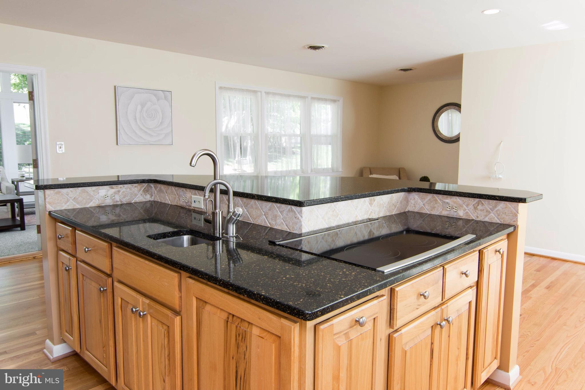 20916 Brooke Knolls Road Laytonsville, MD 20882 - Photo 11 of 30 Kitchen