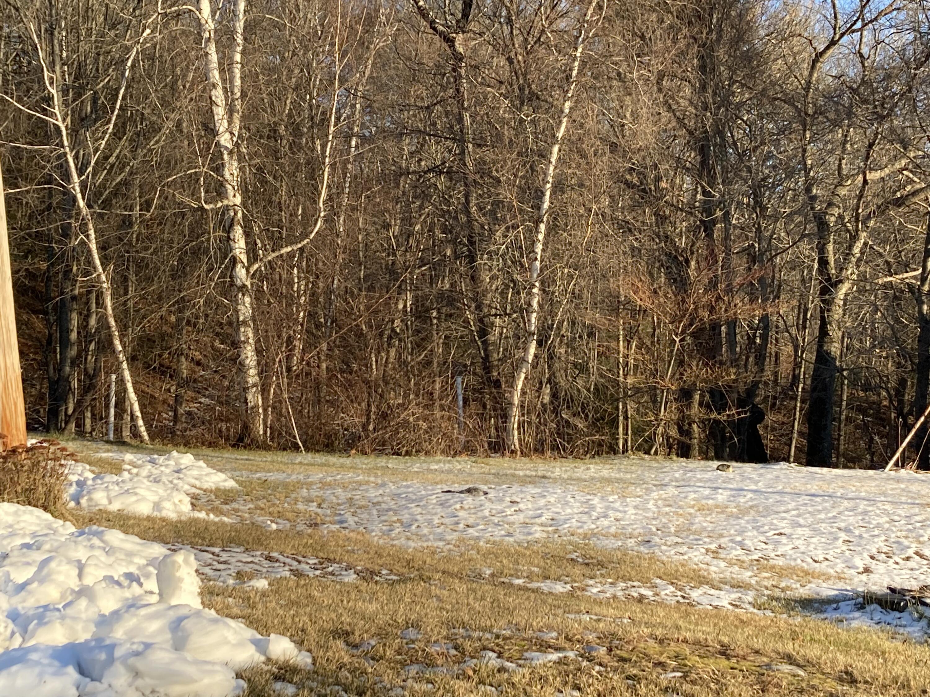 109 Main Street Jay, ME 04239 - Photo 6 of 27 2200625C-4CED-4D0F-9048-42F8D1592B1D
