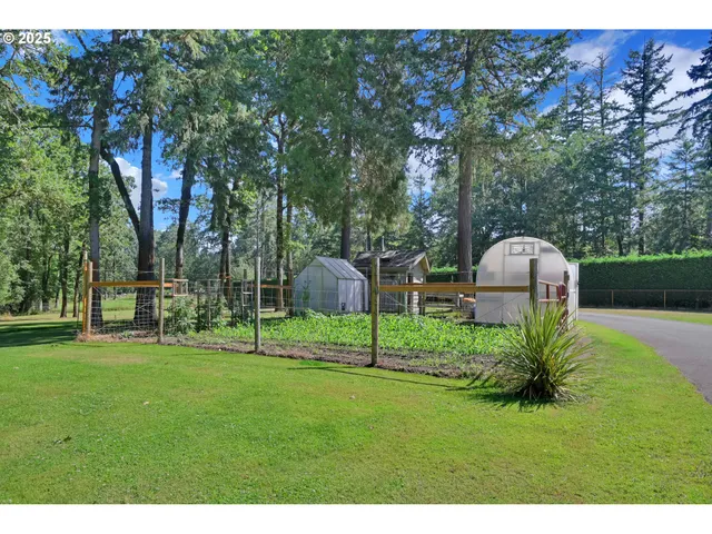 a view of a garden with a slide