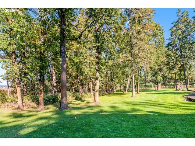 a big yard with trees in the background