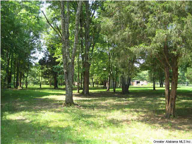 420 Happy Hollow Road Odenville, AL 35120 - Photo 9 of 23