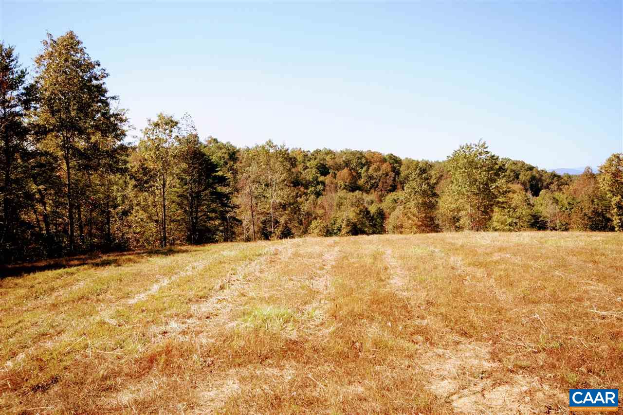 10787 Howardsville Road Howardsville, VA 24562 - Photo 22 of 41 a view of a yard with trees in the background