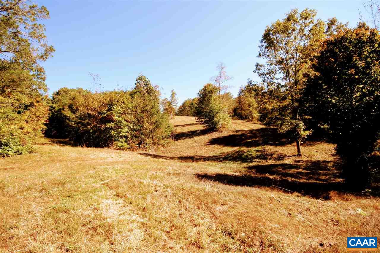 10787 Howardsville Road Howardsville, VA 24562 - Photo 24 of 41 a view of a yard with a tree
