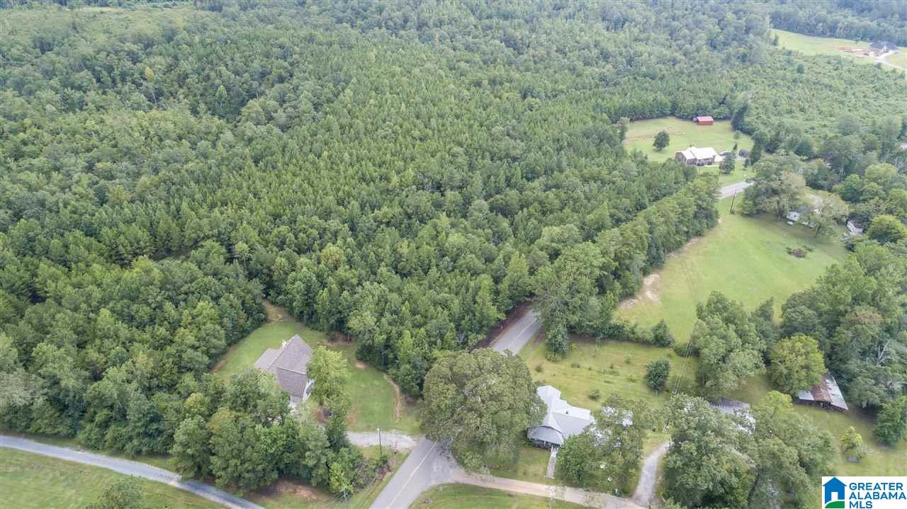14183 Milldale Road Brookwood, AL 35444 - Photo 47 of 47