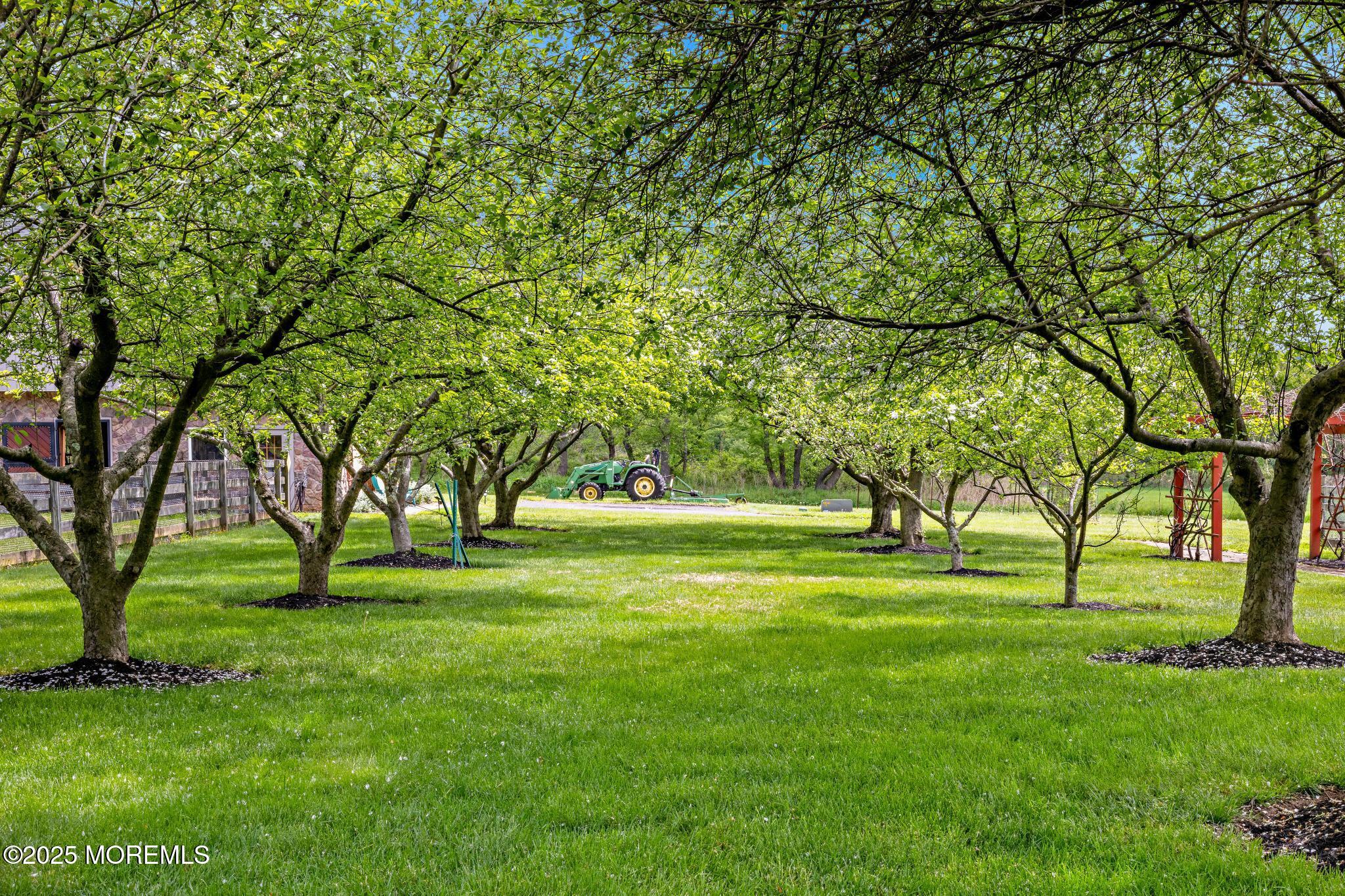 13 Driftwood Lane Colts Neck, NJ 07722 - Photo 63 of 88 13Driftwood-115