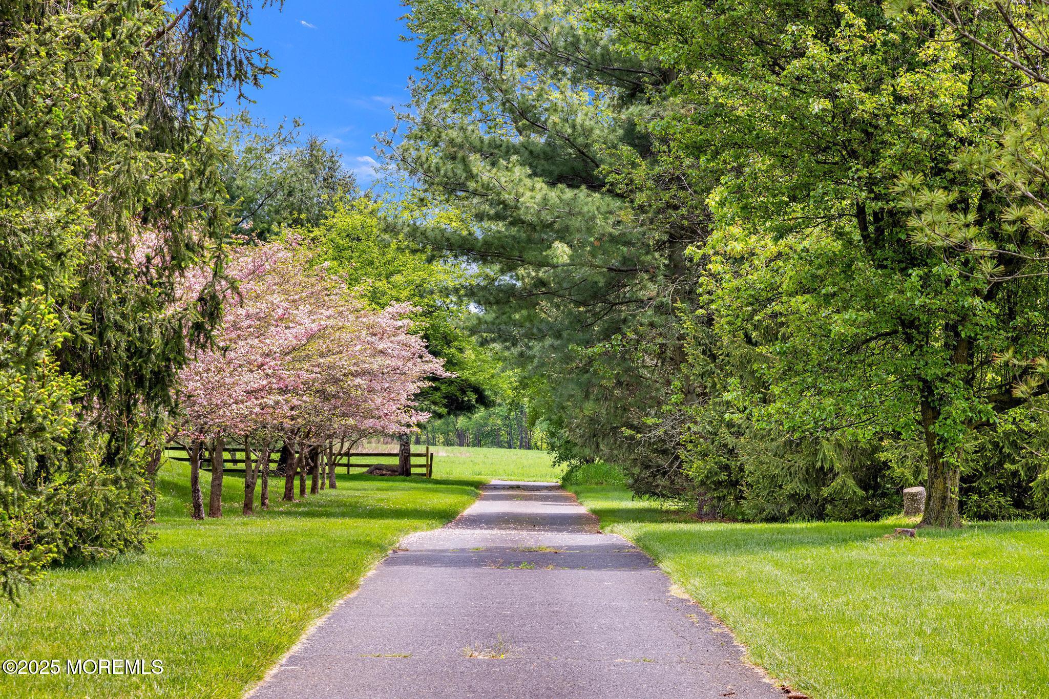 13 Driftwood Lane Colts Neck, NJ 07722 - Photo 66 of 88 13Driftwood-118